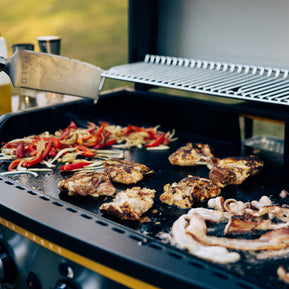 Elite3B Plaque de Cuisson Extérieure | HZ-1002-XNA