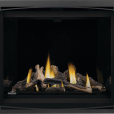 ALTITUDEᴹᴰ X 42 Foyer au gaz à évacuation directe | AX42NTE-1
