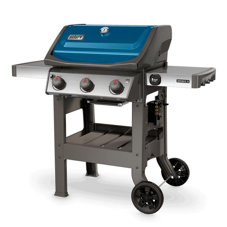SPIRIT II E-310