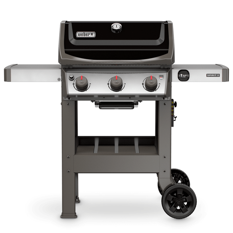 SPIRIT II E-310
