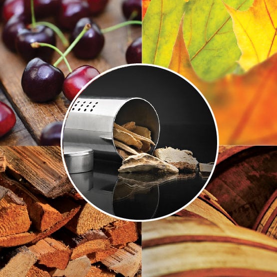 Ensemble de départ pour fumaison avec copeaux de bois | 67020